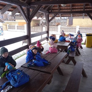 Svišti v ZOO Vyškov